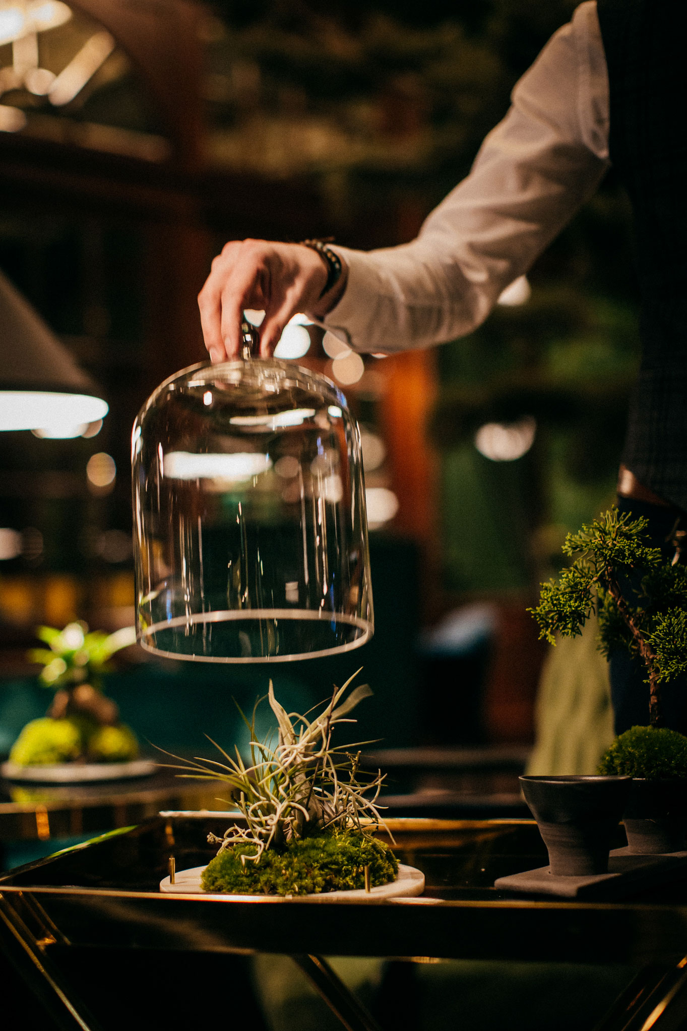 Vibia Illuminates a Timeless Bratislavian Cocktail Bar